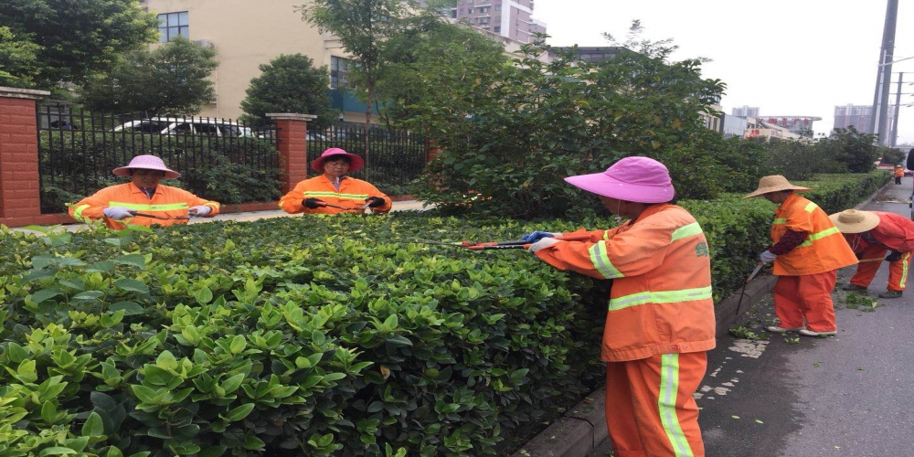 新站區(qū)道路清掃保潔、綠化管養(yǎng)項(xiàng)目